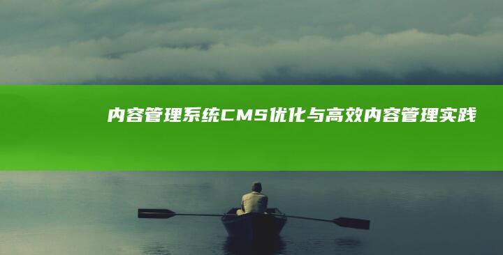 内容管理系统(CMS)优化与高效内容管理实践